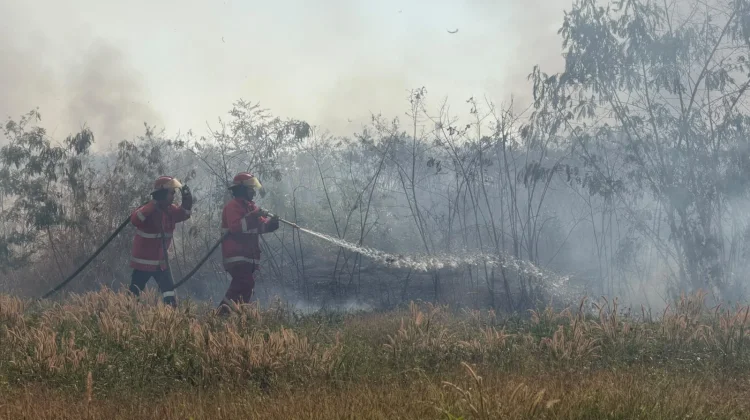 Padang Rumput Bandara El Tari Kupang Terbakar, Operasional Aman
