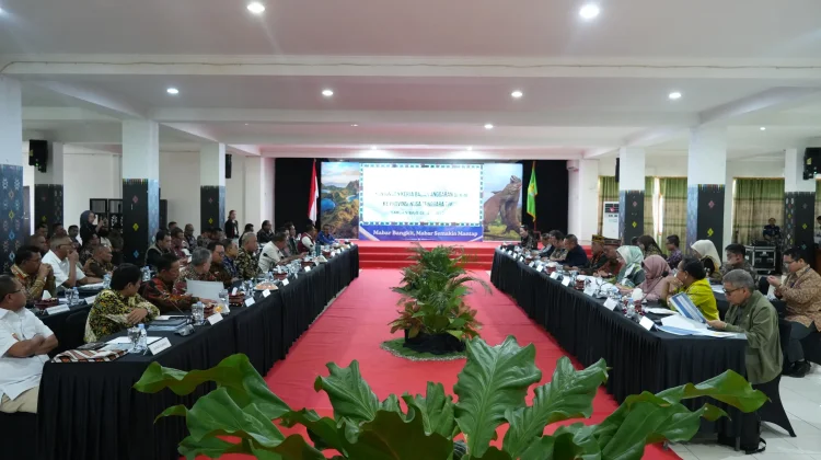 Gubernur Melki ke Banggar DPR: NTT Butuh Fiskal Kuat Dorong Hilirisasi