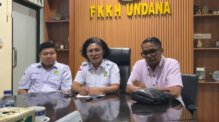 Akademisi Undana Dorong Perda Perlindungan Nakes