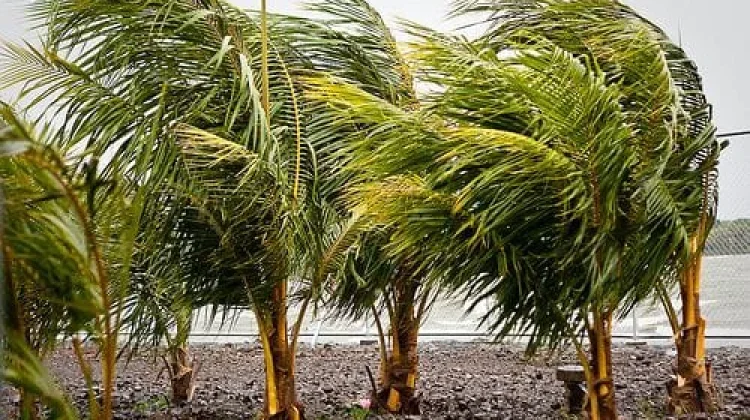 BMKG: Angin Kencang Berpotensi Terjadi di NTT Tiga Hari ke Depan
