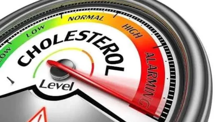 5 Fakta Mengenai Kolesterol yang Sering Disalahpahami