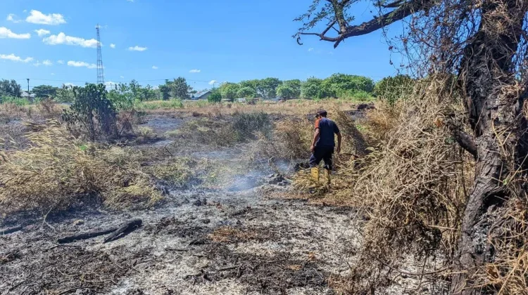 Damkar Kupang Catat 82 Kasus Kebakaran, Kelurahan Liliba Tertinggi