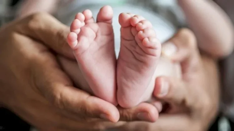 Bayi Perempuan Ditemukan di Kardus di Hutan Mnera Kabnono, Kupang