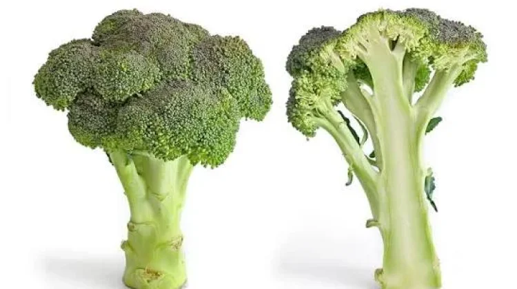 Sayuran yang Aman untuk Diet