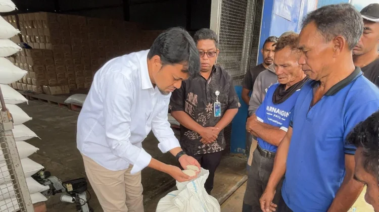 BULOG NTT Serap 7.407 Ton Beras Petani, Lampaui Target Pengadaan 2026