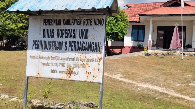 Dinas Koperindag Catat Ratusan Koperasi Beroperasi di Rote Ndao