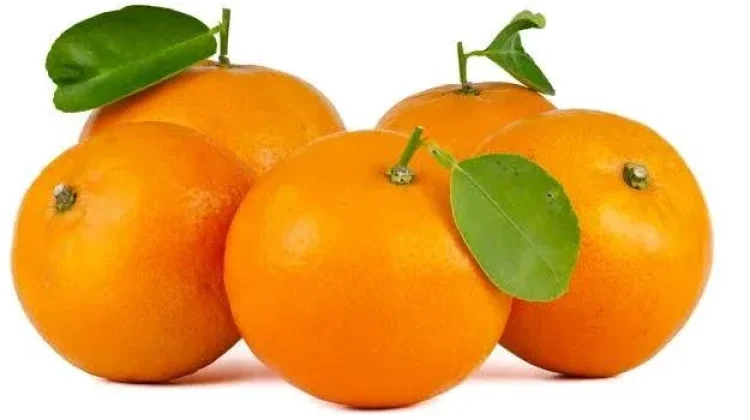 5 buah yang cocok untuk menurunkan berat badan.
