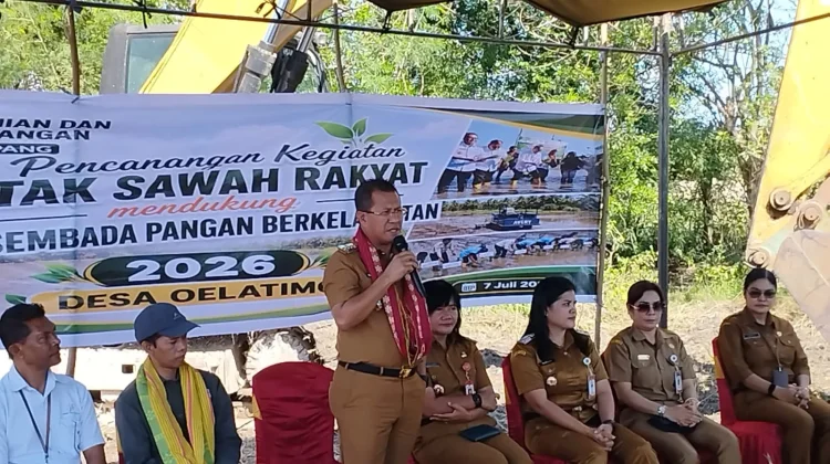 Bupati Kupang Minta Sawah Baru Terus Produktif