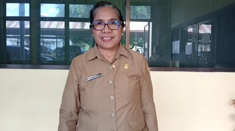 Dinkes NTT Gandeng NGO Sukseskan Program Kesehatan di 2027