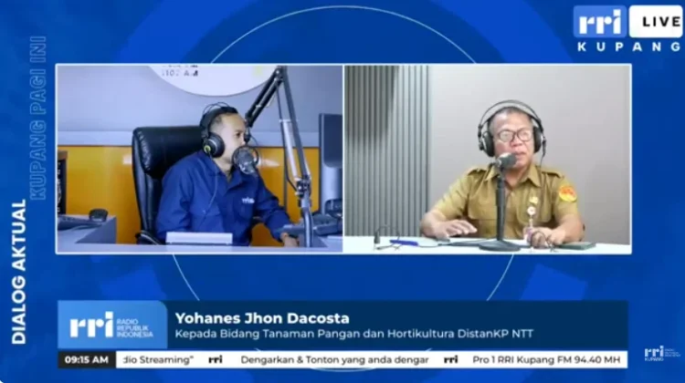 Pemprov NTT Fokus Tingkatkan Kesejahteraan Petani melalui Produktivitas