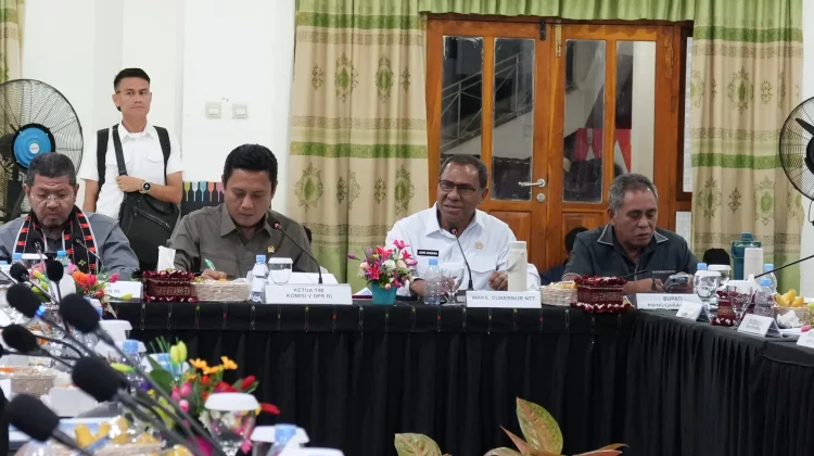 Komisi V Soroti Infrastruktur dan Keselamatan NTT