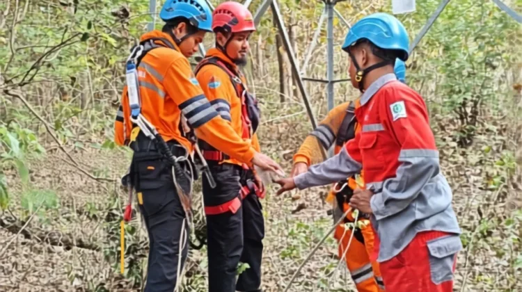 Jaga Terang, Tim PLN Gerak Cepat Ganti Isolator Tower Transmisi Naibonat-Nonohonis