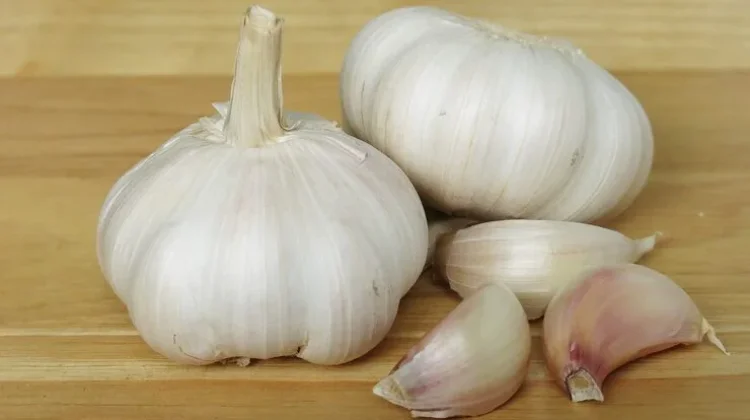 Bawang Putih: Rempah Ajaib Segudang Manfaat bagi Kesehatan