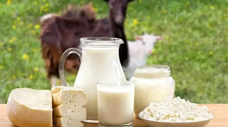 7 Manfaat Susu Kambing untuk Kesehatan, dari Tulang hingga Kulit