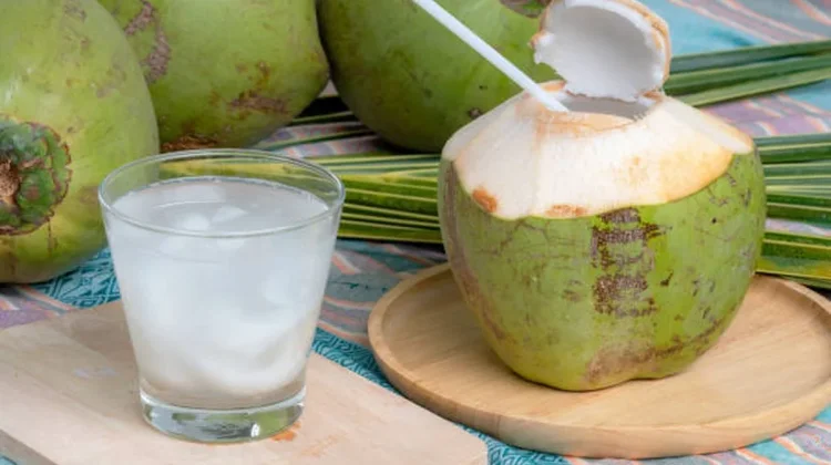 Segudang Manfaat Air Kelapa muda bagi kesehatan