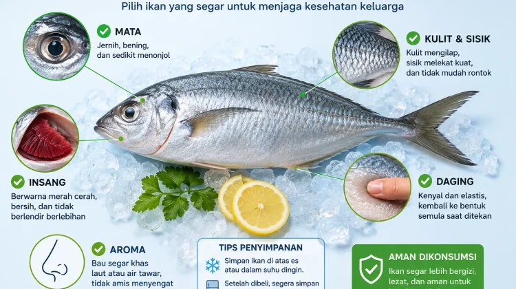 Cara Memilih Ikan Segar yang Aman dan Berkualitas untuk Dikonsumsi