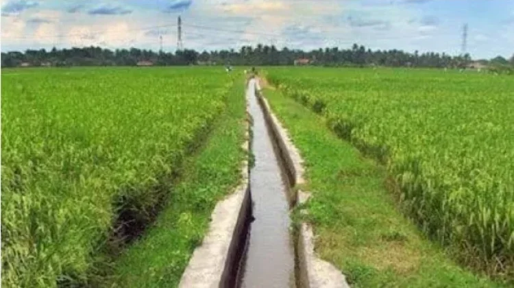 42 Lokasi Irigasi di NTT Siap Dibangun pada 2026, BBWS Dorong Ketahanan Pangan