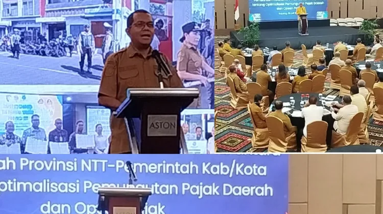 NTT Perkuat Sinergi Optimalisasi Pajak Daerah