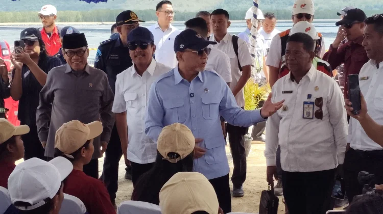 Menko Pangan Soroti Pencurian Ikan Nasional