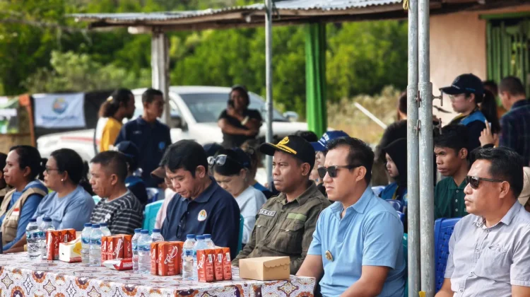 Mahasiswa KKN-PPM UGM Gelar Edukasi dan Penanaman Mangrove