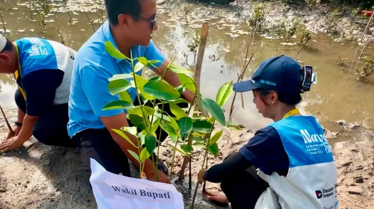 Wakil Bupati SBD Menanam Mangrove  Komitmen Merawat Demi Generasi Mendatang