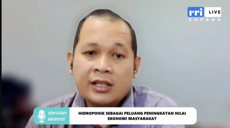 Pasokan Terjaga, Evolusi Hidroponik Dongkrak Ekonomi Lokal