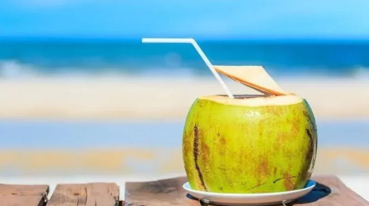Apakah Minum Air Kelapa Muda Setiap Hari Sebabkan Batu Ginjal?