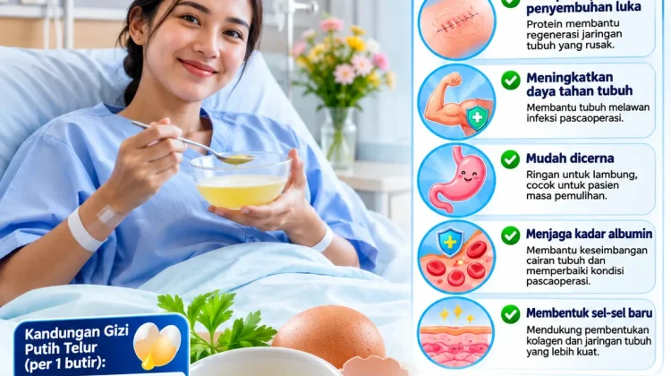 Protein Tinggi dalam Putih Telur, Kunci Percepat Pemulihan setelah Operasi