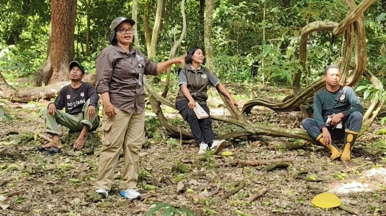 Taman Wisata Alam Camplong Simpan Keanekaragaman Hayati