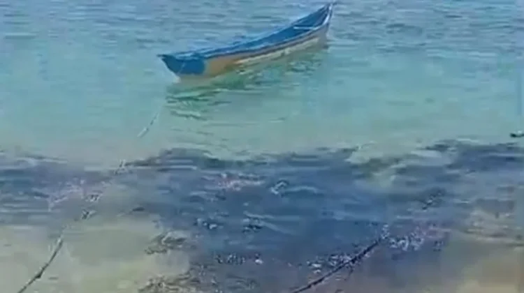 Pencemaran Oli di Pulau Semau Jadi Perhatian DLHK NTT