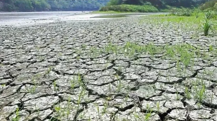 BMKG Ingatkan El Nino 2026 Berpotensi Perpanjang Kemarau di NTT