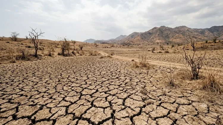 Fenomena El Nino 2026 Berpotensi Perpanjang Musim Kemarau NTT