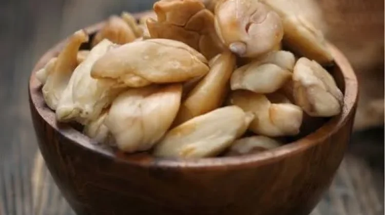 Manfaat Kacang Kenari untuk Tubuh, Kaya Nutrisi dan Baik bagi Kesehatan