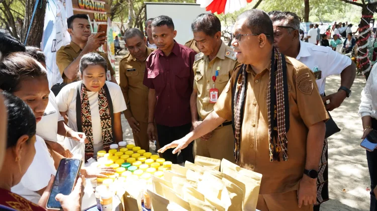 Pemberdayaan Ekonomi dan Pelayanan Kesehatan Melalui Program Intervensi Dinkes