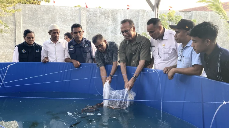 Usman Husin Serahkan Bantuan Bioflok Nila Sumba Barat