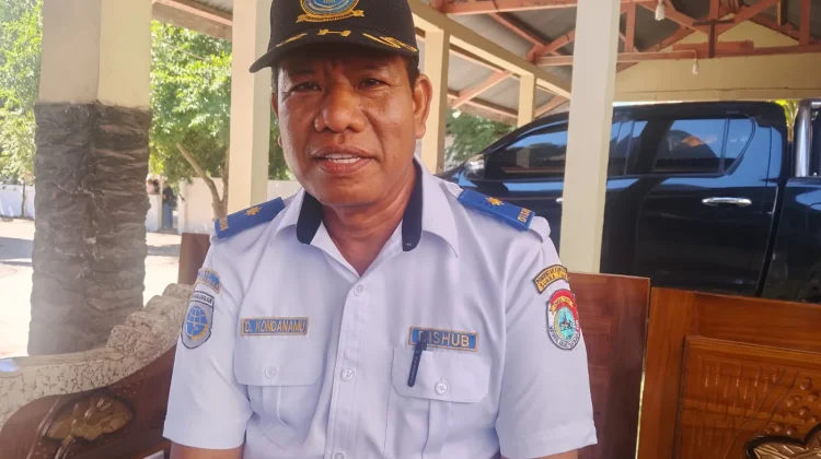 Karnaval HUT RI ke-81 Sumba Timur Angkat Semangat Kebersamaan