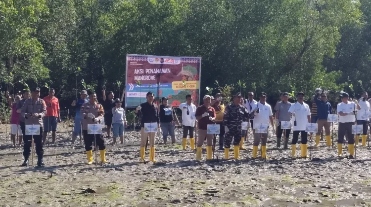 KKP Gelar Aksi Tanam 5.000 Mangrove di Desa Baadale Rote Ndao