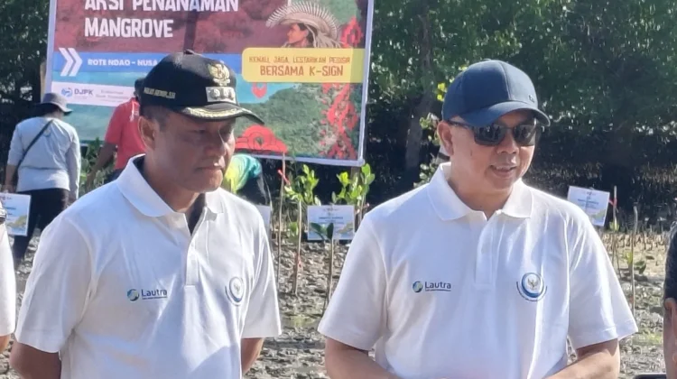 KKP Perkuat Kolaborasi Rehabilitasi Mangrove Rote Ndao