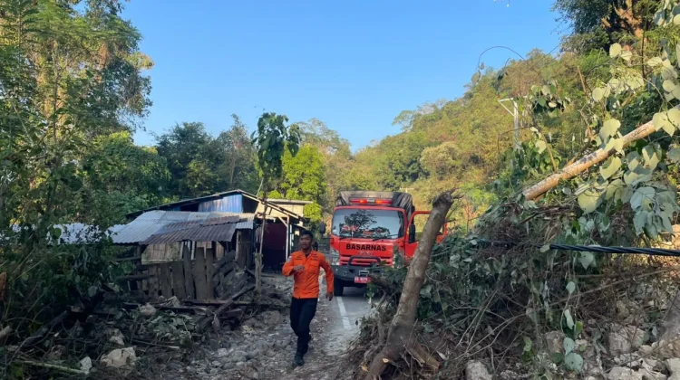Hari ke-2 Pencarian Korban Bencana Gempa Flores, Tim SAR Tembus Akses Longsor
