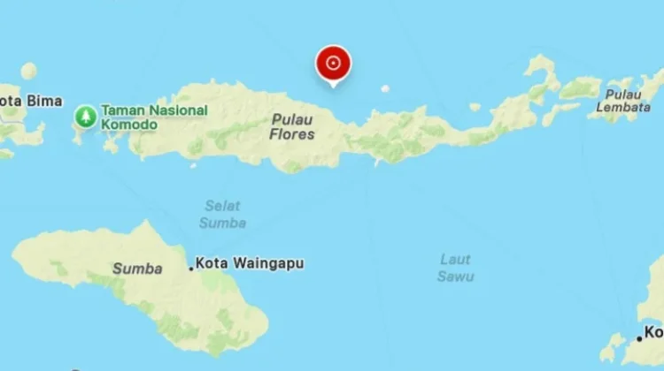 BMKG; 901 Gempa Susulan Terjadi di Daratan Flores