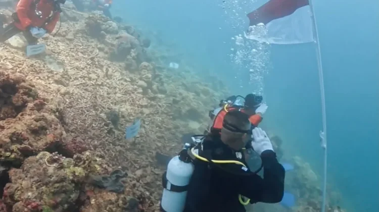 HUT ke-81 RI, Kantor SAR Kupang Kibarkan Sang Merah Putih di Bawah Laut