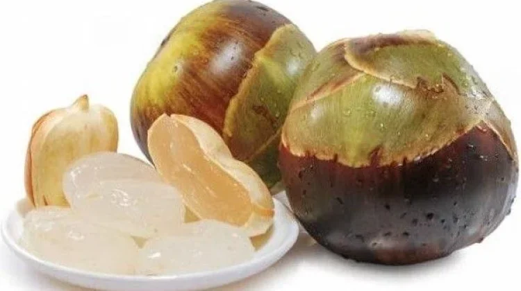 Manfaat Buah Lontar bagi Kesehatan, Kaya Nutrisi dan Senyawa Bioaktif