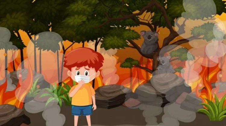 Bukan Cuma Pernapasan, Asap Kebakaran Hutan juga Ancam Otak Anak