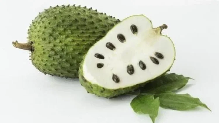Khasiat Buah Sirsak untuk Tubuh