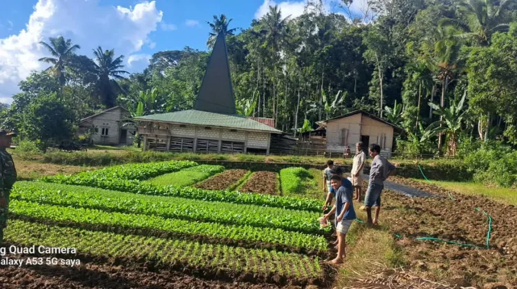 Babinsa Dorong Semangat Petani Perkuat Ketahanan Pangan Desa