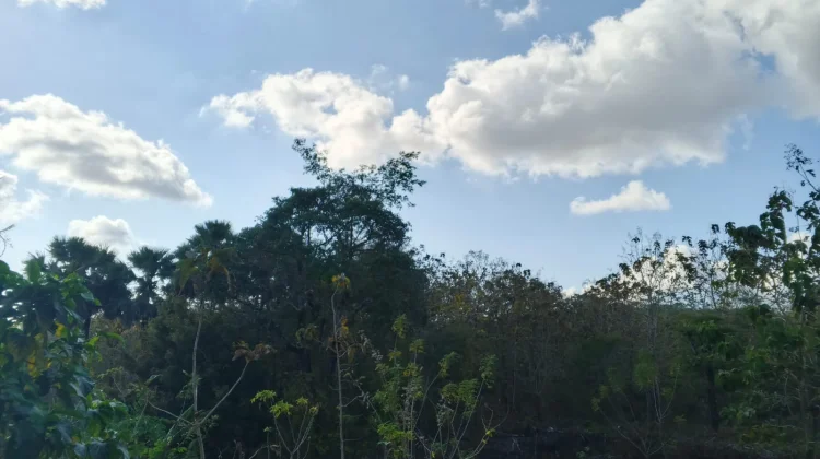 BMKG: Cuaca Cerah, Angin Kencang di Wilayah NTT, Dua September