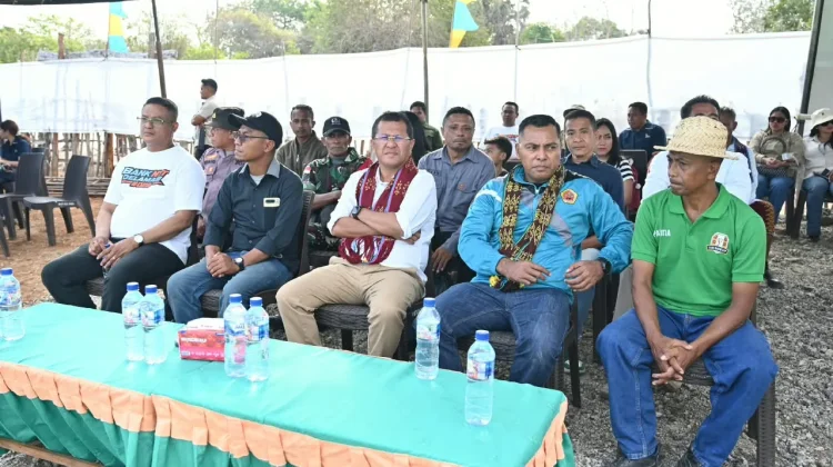 Pulau Semau Dapat Usulan Empat Titik Tower Telekomunikasi