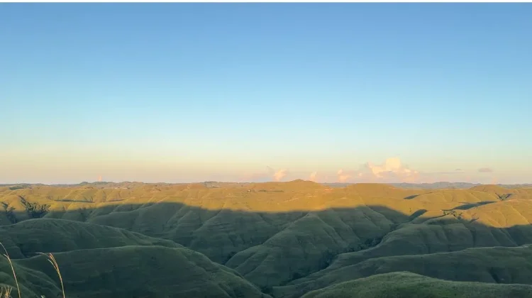 Savana Sumba Hadapi Ancaman Kebakaran dan Degradasi Ekosistem