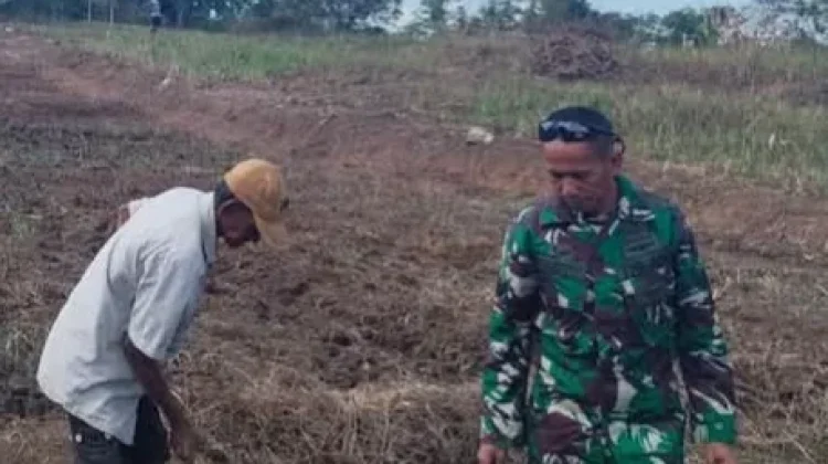 Serka Masrin Aktif Dampingi Warga Tingkatkan Ketahanan Pangan