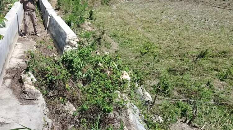Irigasi Rusak Ancam Ketahanan Pangan Masyarakat Wanokaka Sumba Barat